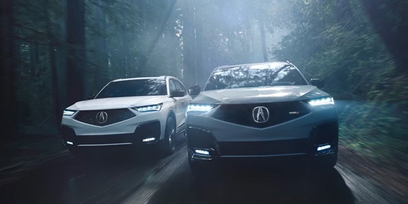 Two Acura SUVs driving side by side on a forest road, viewed from the front with headlights illuminated